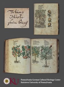 Top Left Image: Signature of Tobias Hirte. Top Right: Illustrationof Adam and Eve beneath an apple tree with a deer. Bottom: Illustrations of trees with fruit growing on them
